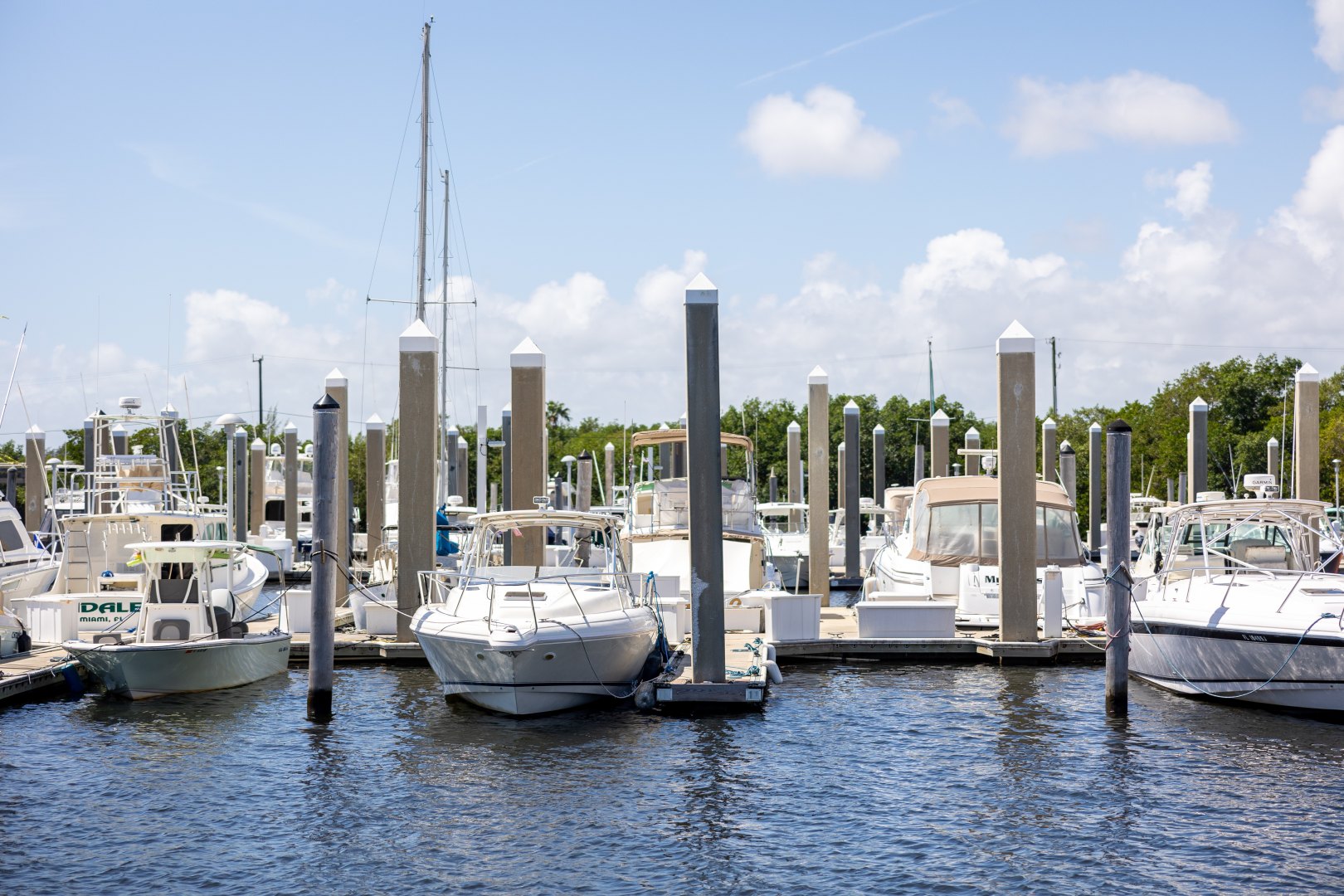 Image description (optional)